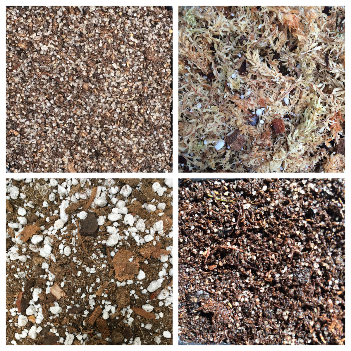 Soil Mixes & Fertilizer Carnivorous Plant Store