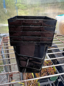 9 cm square plastic plant pots Premium 9cm (3.5inch) Square Pot, 5 Pack – Carnivorous Plant Store