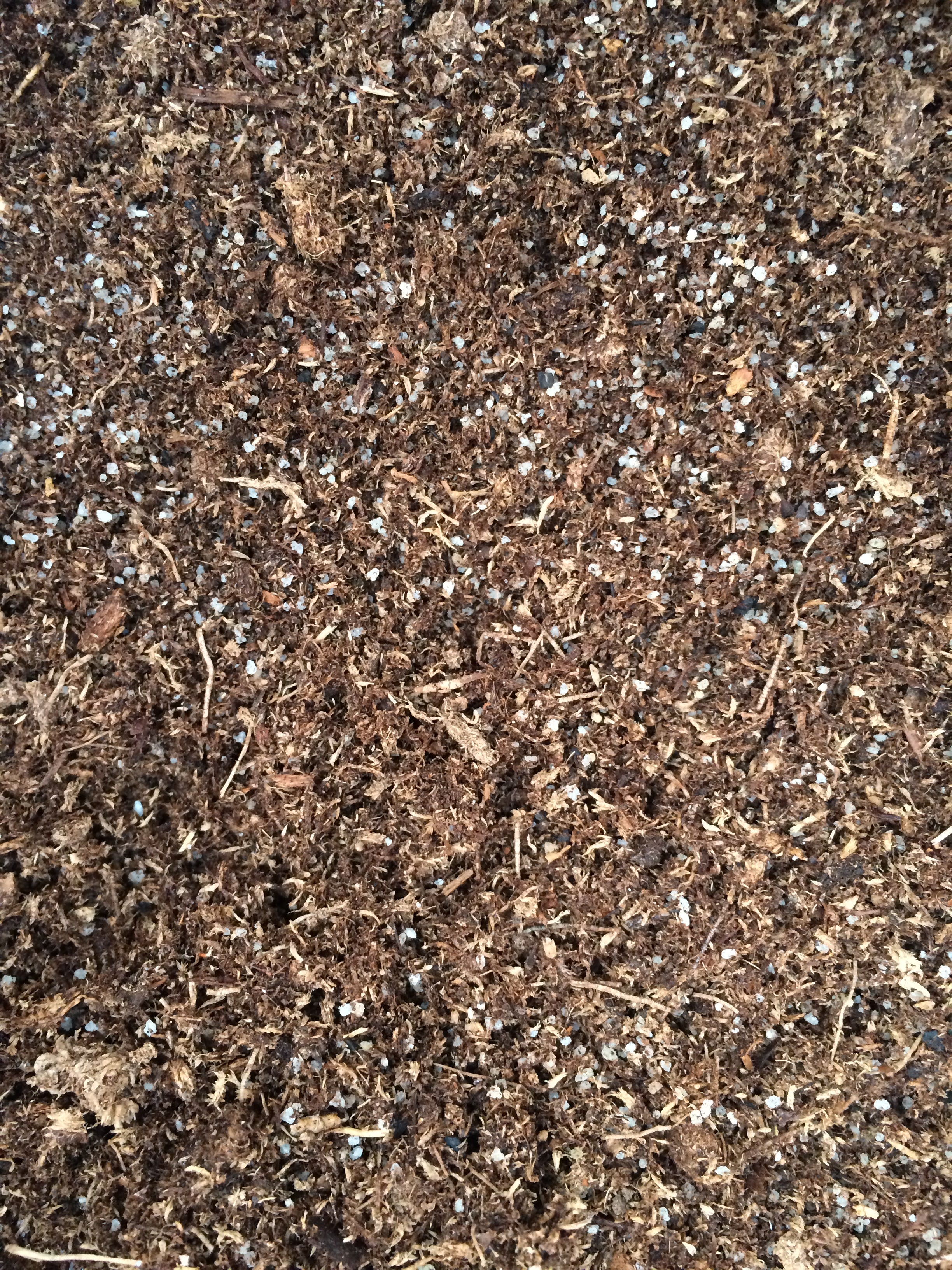 sundew potting mix Sundew soil mix – Carnivorous Plant Store