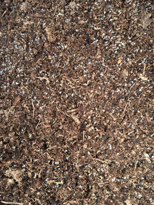 Sundew soil mix